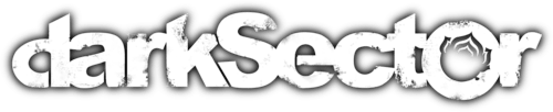 Dark Sector