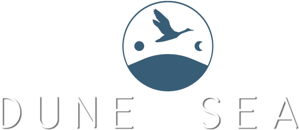 Dune Sea