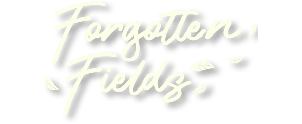 Forgotten Fields
