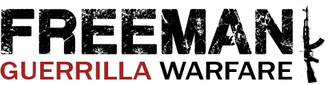 Freeman: Guerrilla Warfare