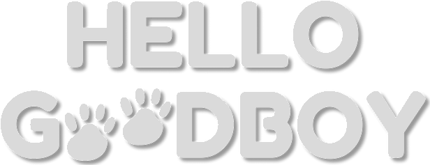 Hello Goodboy