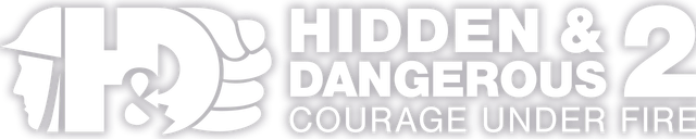Hidden & Dangerous 2: Sabre Squadron