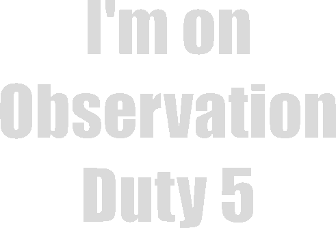 I'm on Observation Duty 5