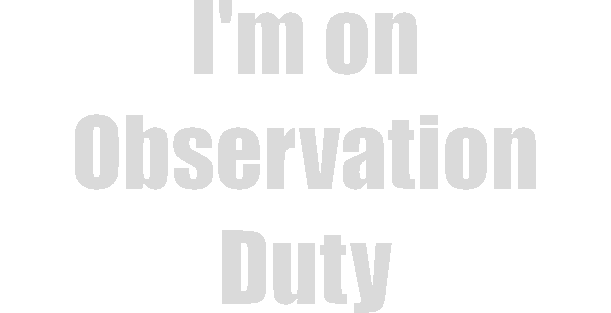 I'm on Observation Duty