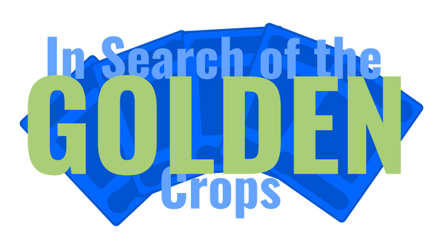 In Search of The Golden Crops