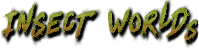 Insect Worlds
