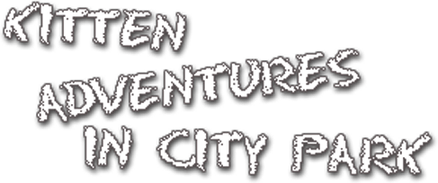 Kitten Adventures in City Park