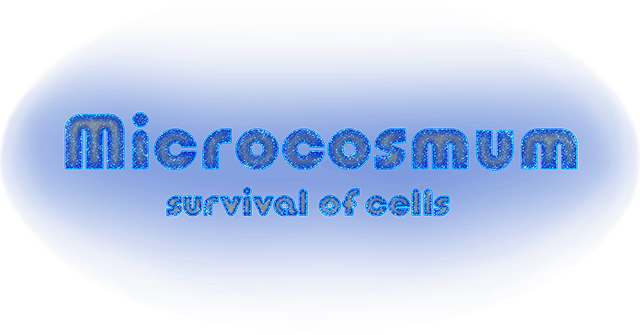 Microcosmum: survival of cells