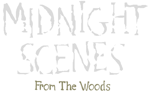 Midnight Scenes: From the Woods