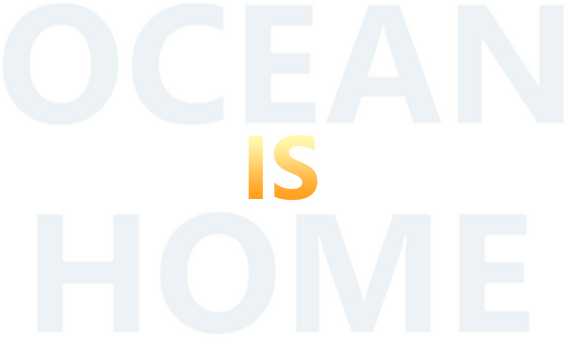 Ocean Is Home: Island Life Simulator