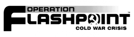 Operation Flashpoint Cold War Crisis