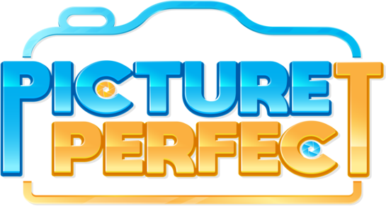 Picture Perfect