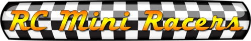 RC Mini Racers