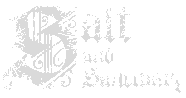 Salt and Sanctuary