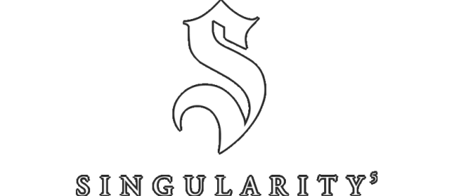 Singularity 5