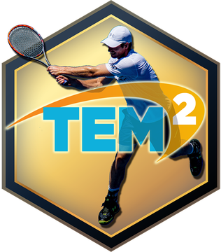 Tennis Elbow Manager 2