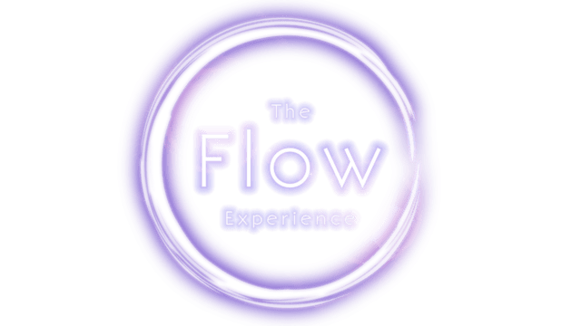 The Flow Experience