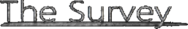 The Survey
