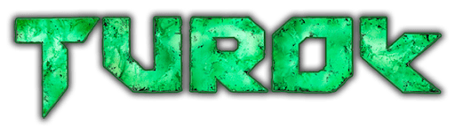 Turok (2008)