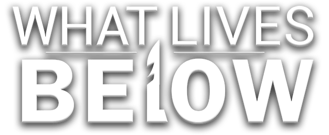What Lives Below