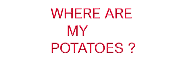 Where are my potatoes?