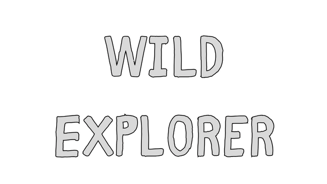 Wild Explorer