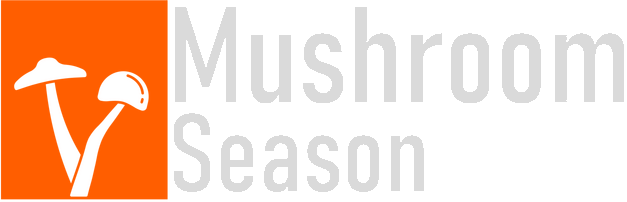 Mushroom Season