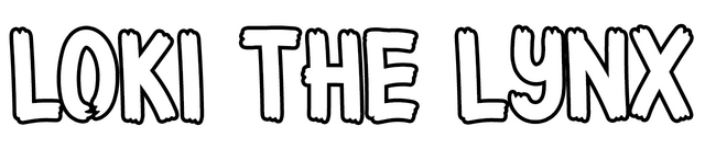 Loki The Lynx
