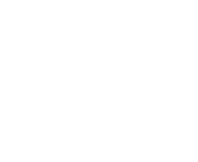 The Ruin Wanderer