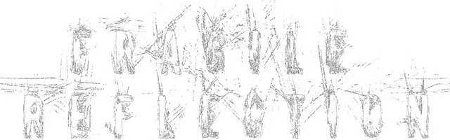 Fragile Reflection