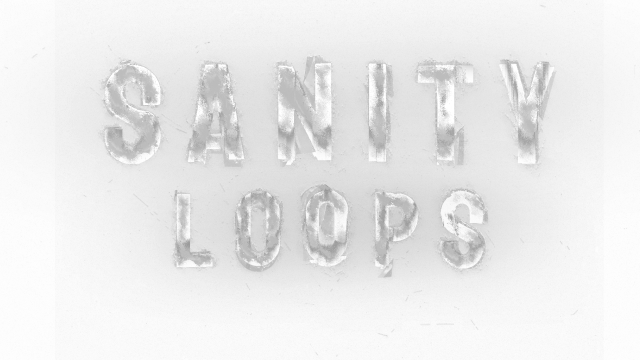 Sanity Loops