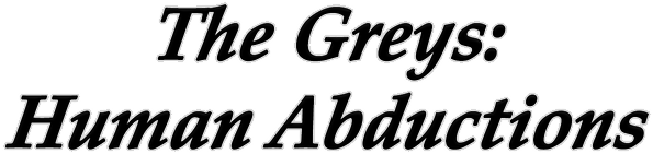 The Greys: Human Abductions