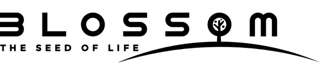 Blossom: The Seed of Life