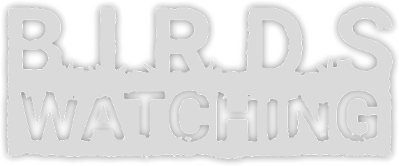 Birds Watching